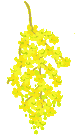 tree-flower
