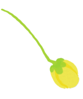 flying-flower-B