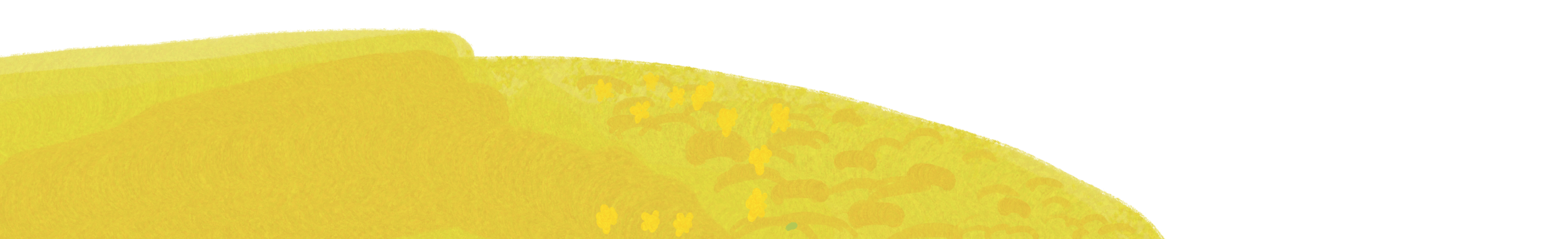 this is a piece of grass