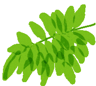tree-leaf