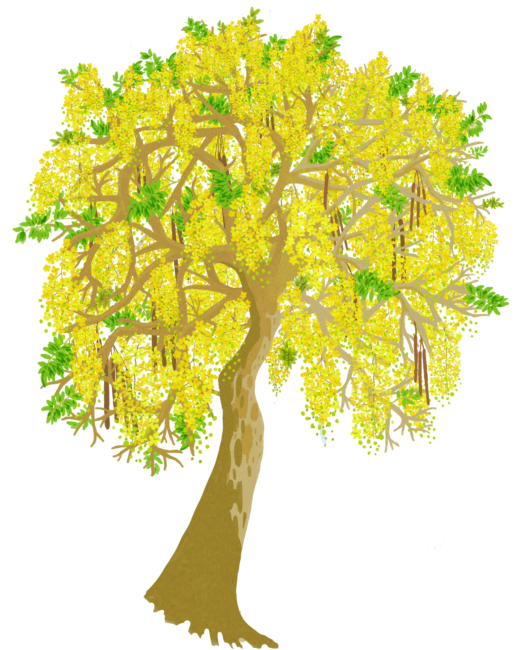 tree