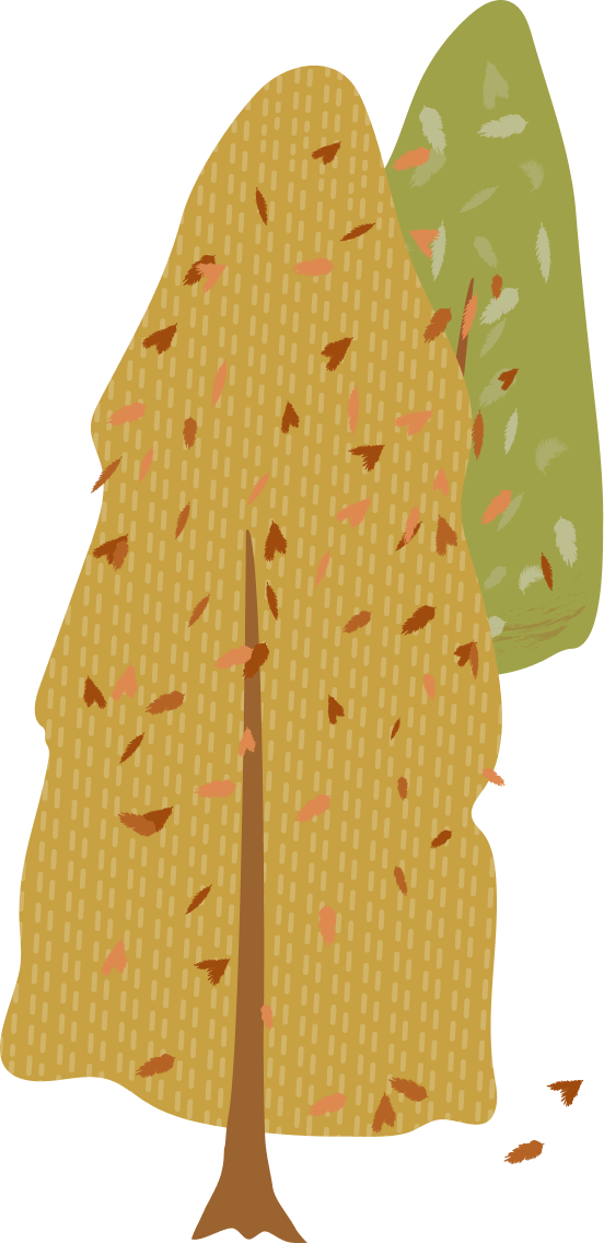 s5-tree