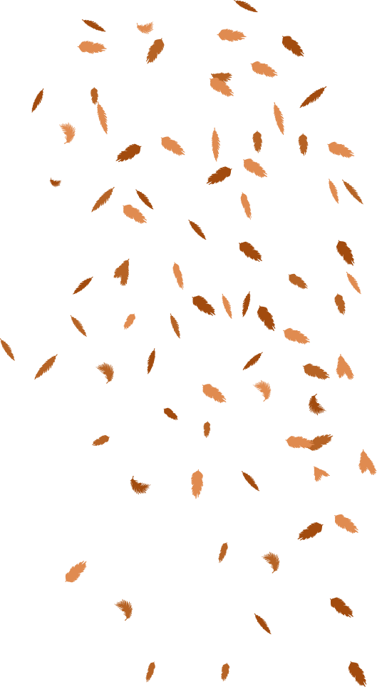 tree-r-drop_leaves