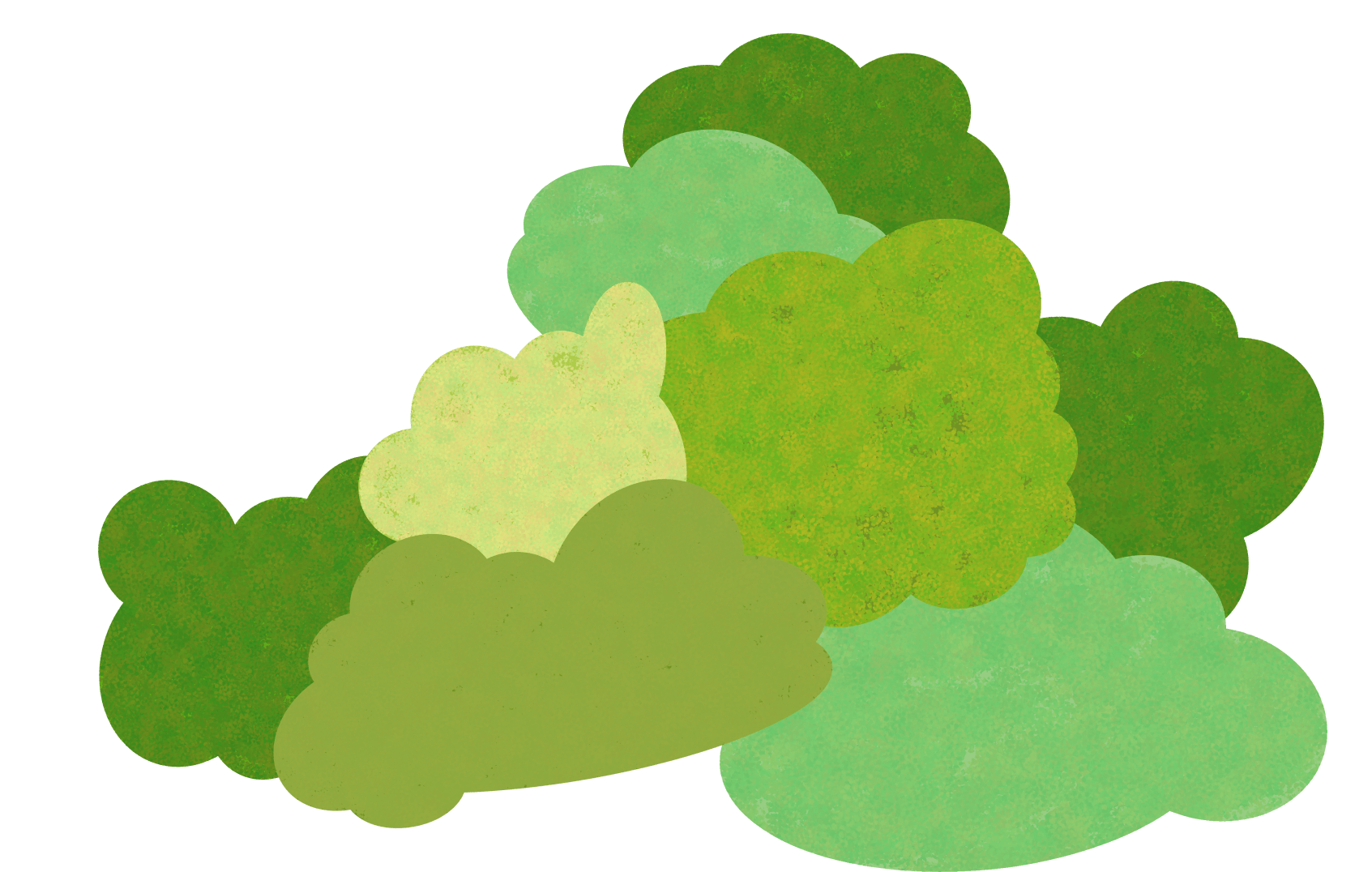 bush-right-bottom