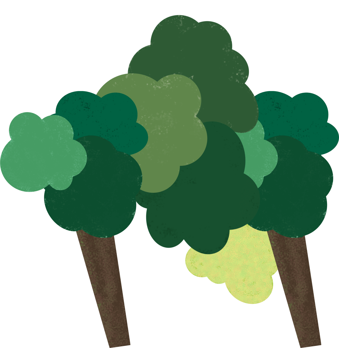 bush-right-top
