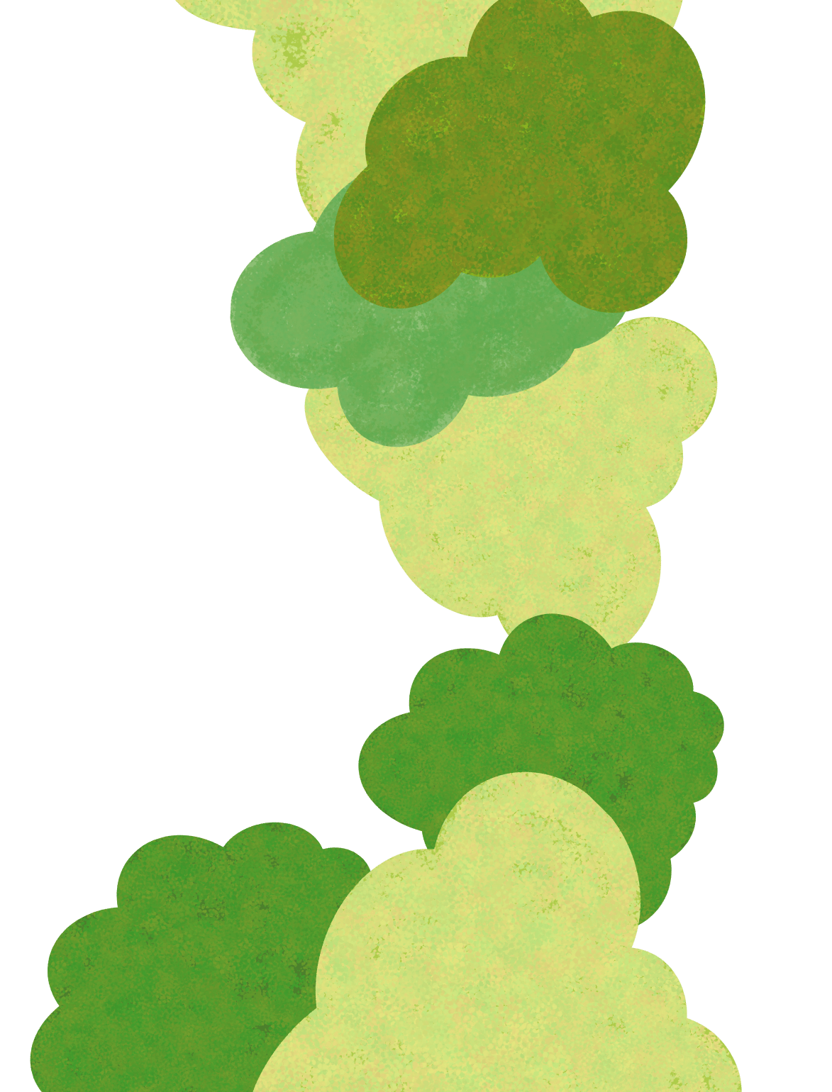 info-bush