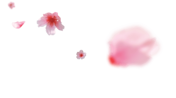 s2-flower-left