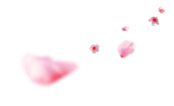 s2-flower-right