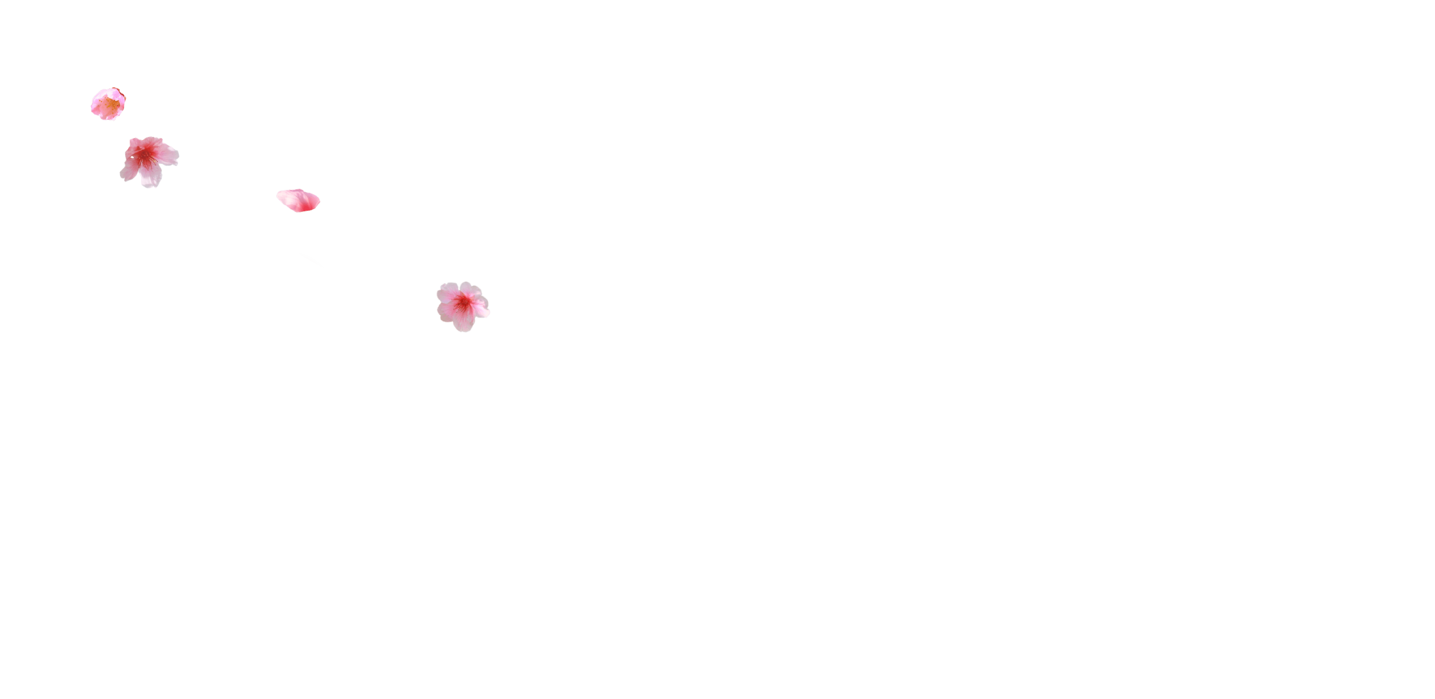 s9-1